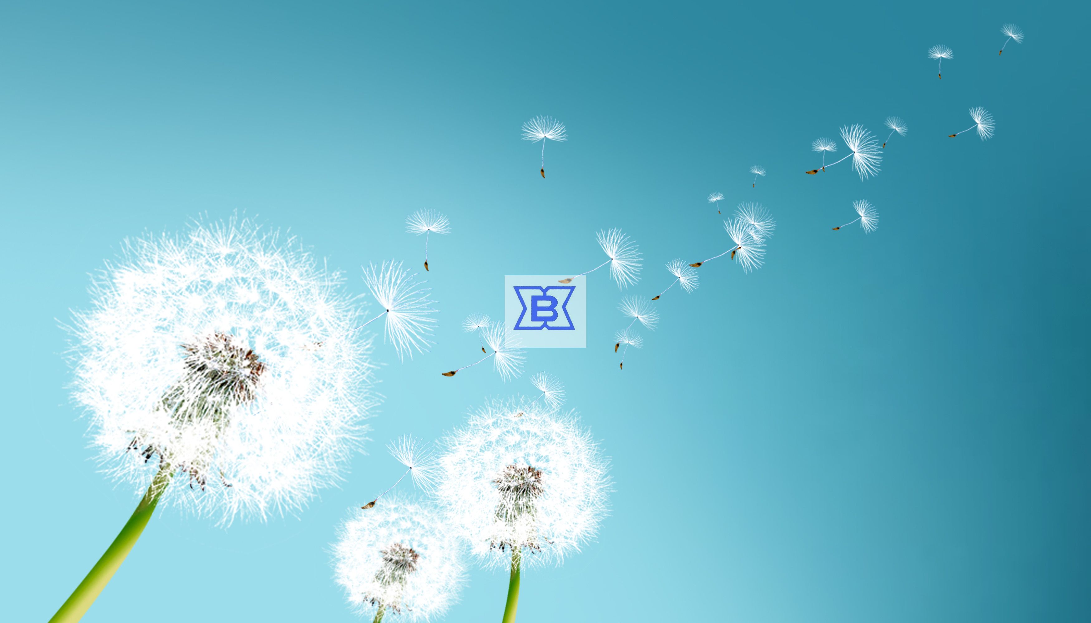 w66.利来(中国区)_来利国际旗舰厅